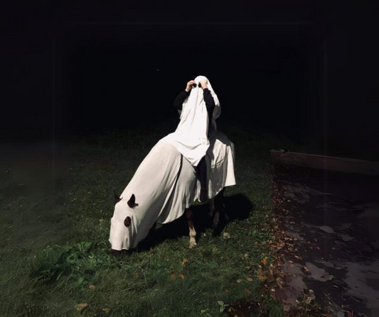 idées halloween cheval