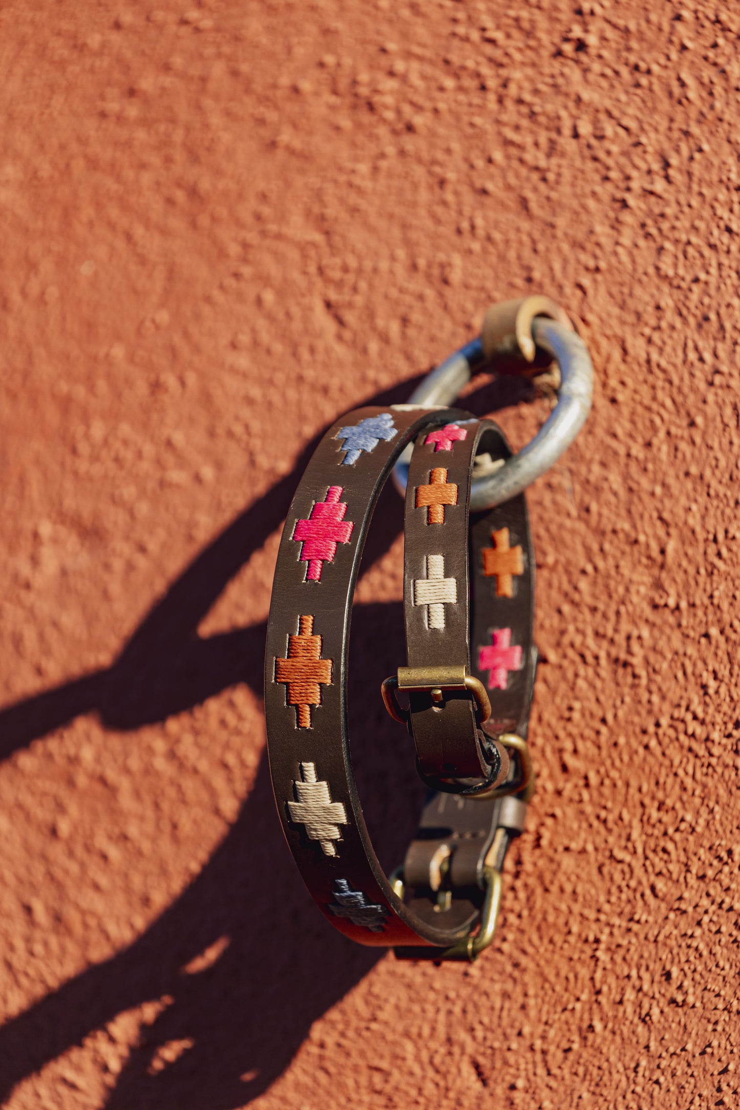 Collier pour chien Mara