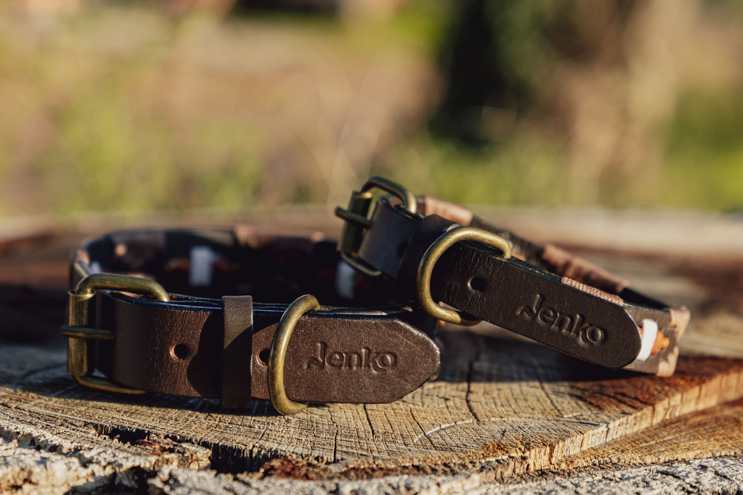 Collier pour chien Valeria