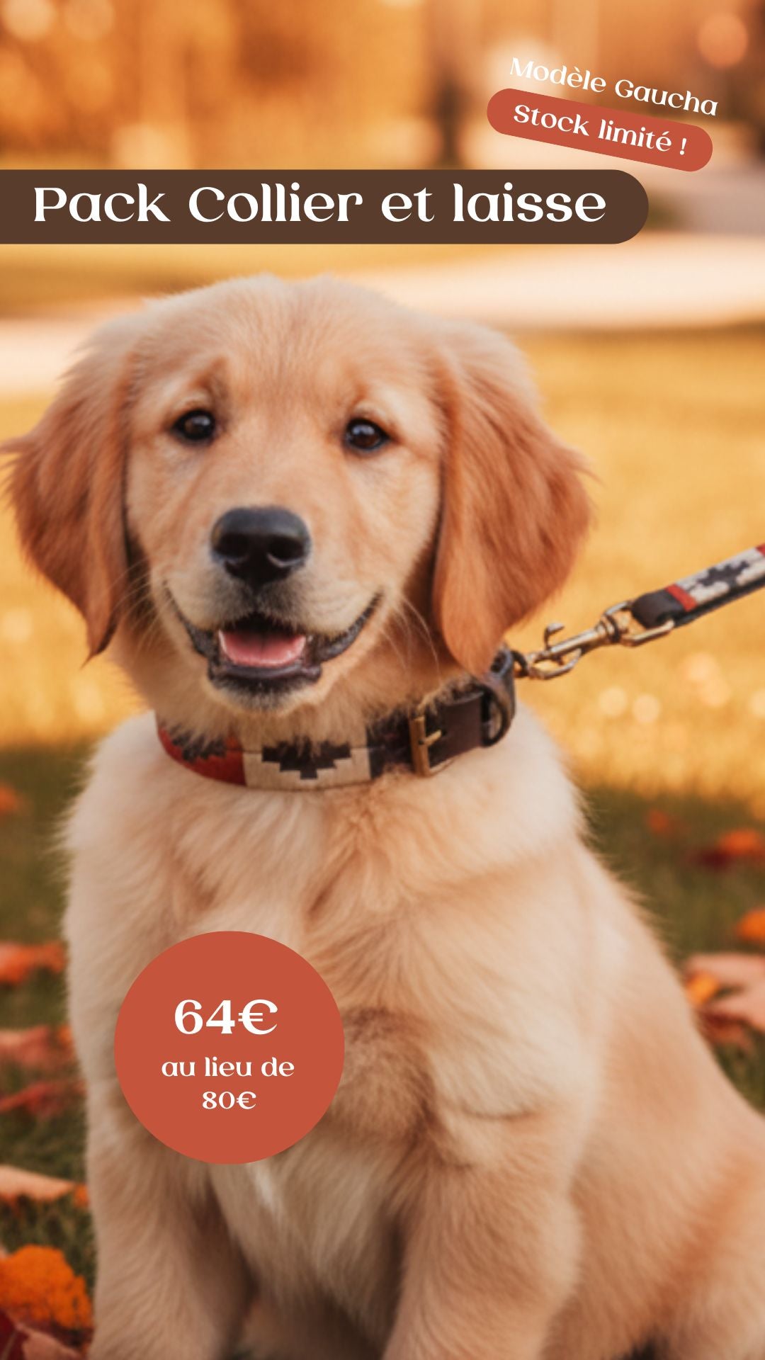 Collier pour chien Gaucha