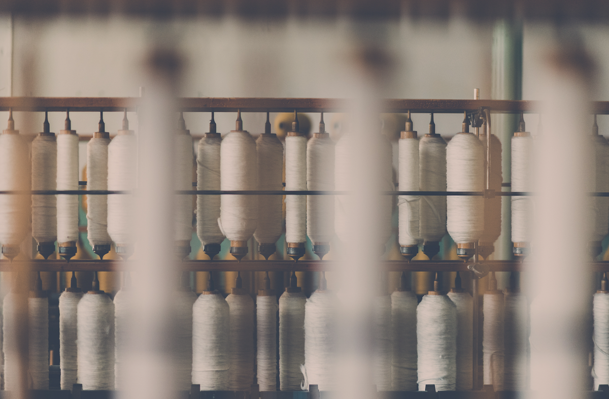 Photographie d’ouverture de l’article « Les avantages du coton bio dans nos vêtements d’équitation »
