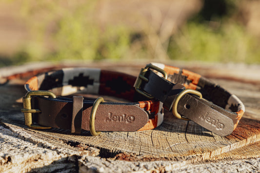 Collier pour chien Gaucha