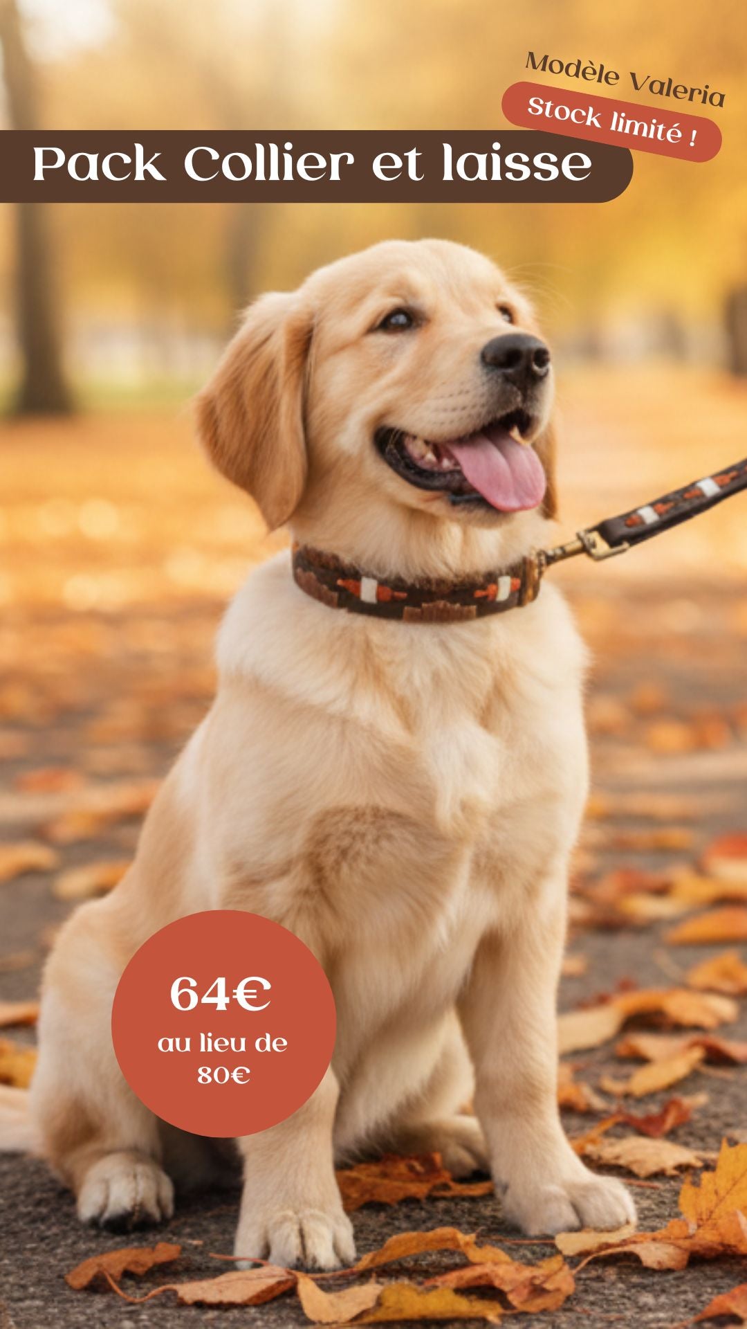 Laisse pour chien Valeria