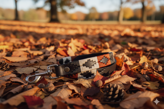 Laisse pour chien Gaucha