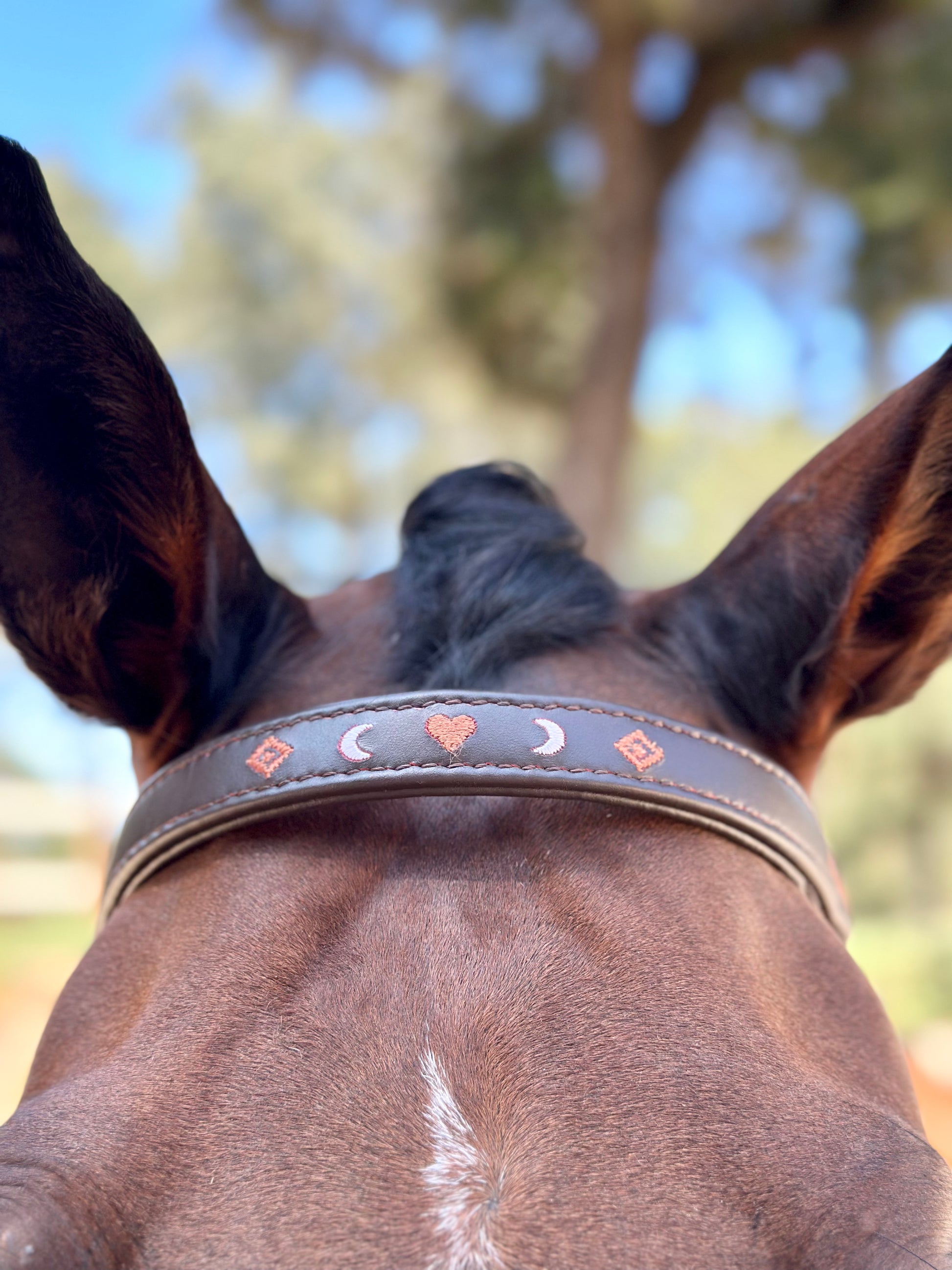 frontal cheval brodé