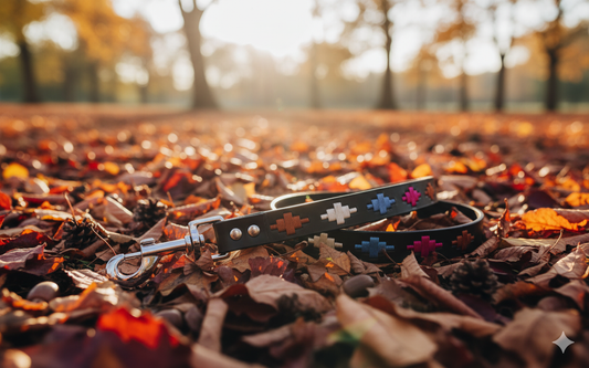 Laisse pour chien Mara