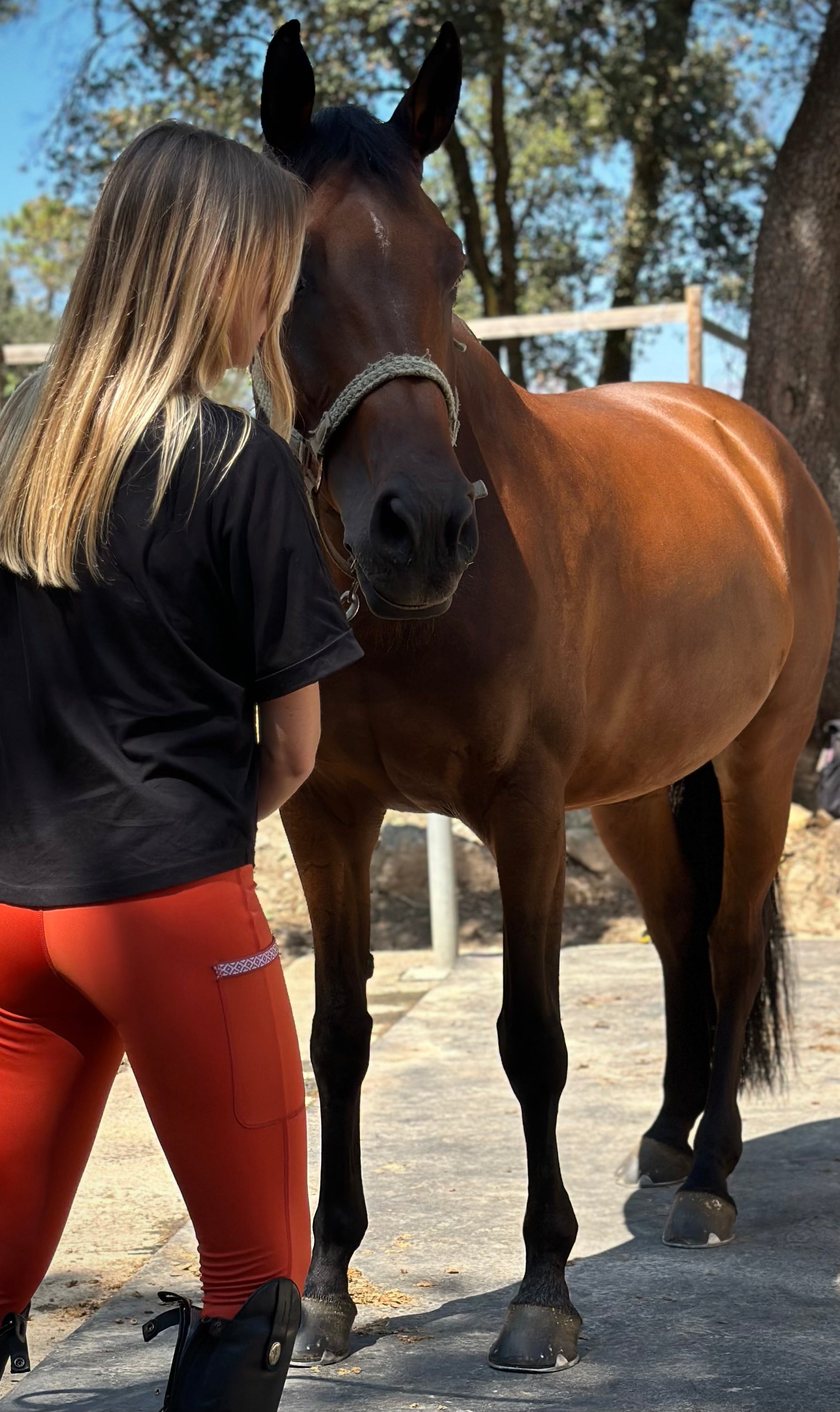 legging équitation jenko